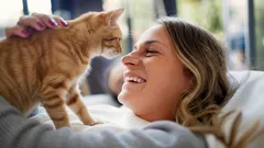 Kedi Sevgisi: Kedinizin Size Güvendiğini ve Değer Verdiğini Böyle Anlarsınız